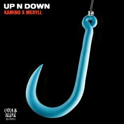Cover of Up N Down