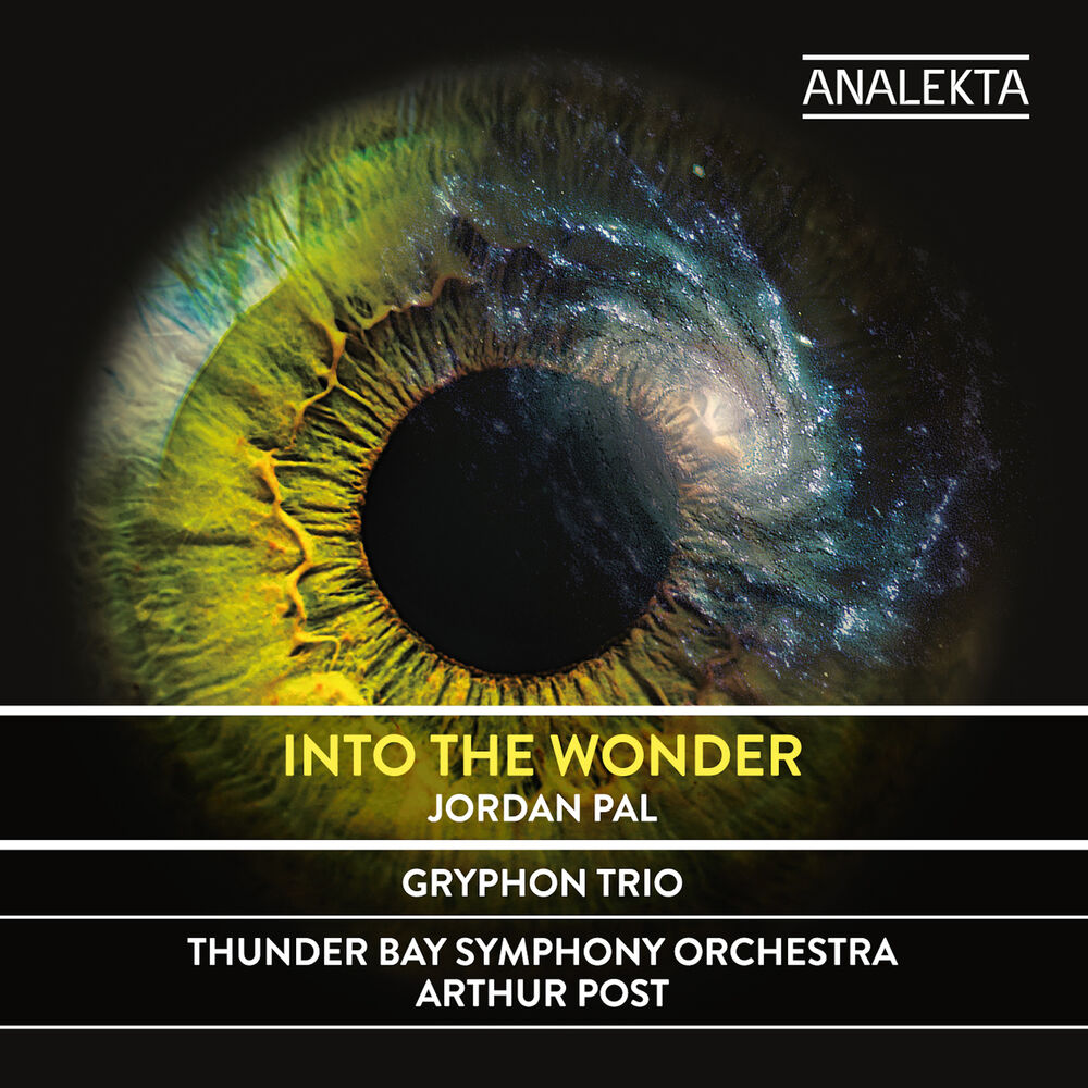 Picture of Into the Wonder