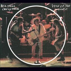 Cover of Year of the Horse (Live)