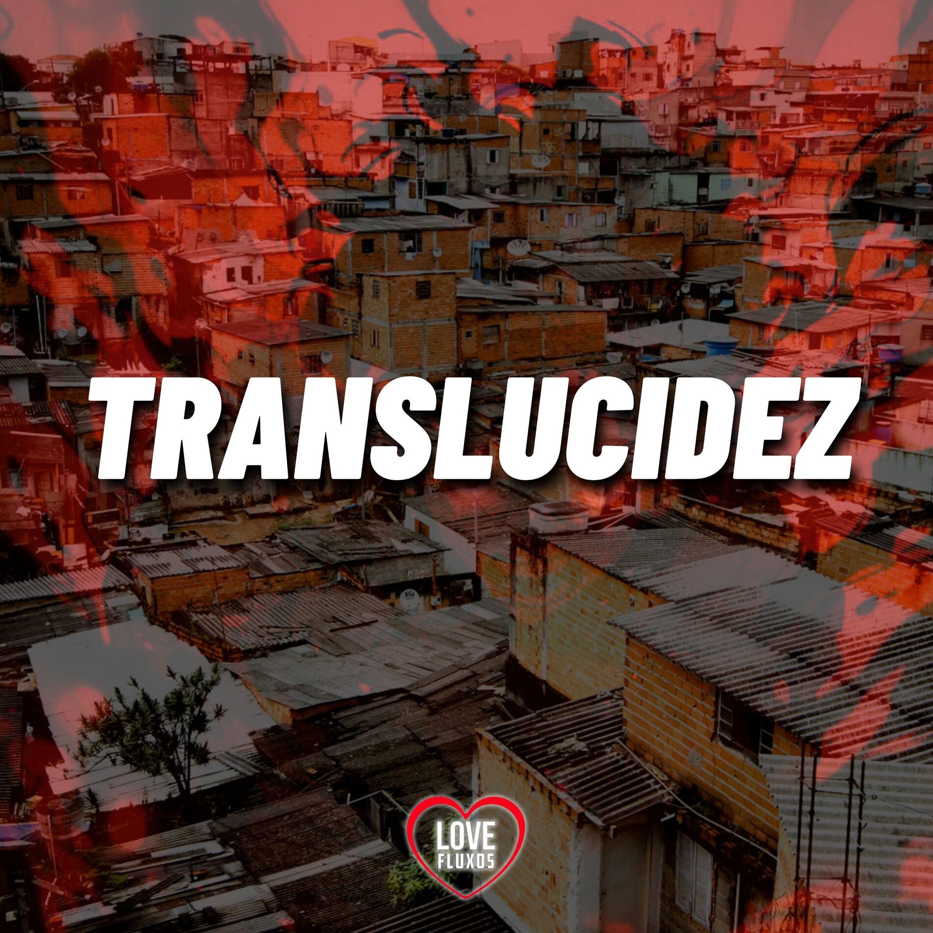 Album cover of Translucidez