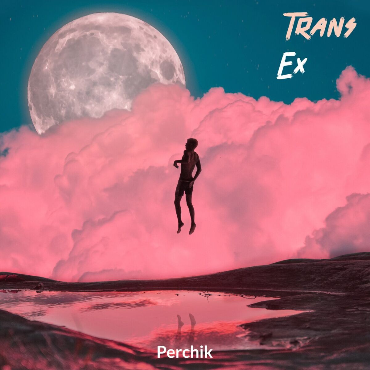 Album cover of Perchik
