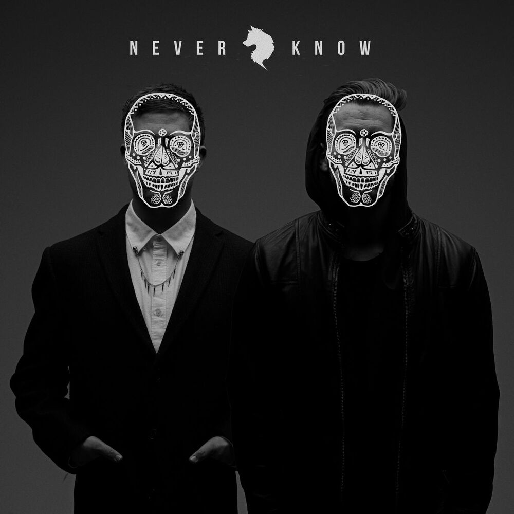 Picture of Never Know (feat. Freja Kirk)
