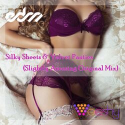 Cover of Silky Sheets and Velvet Panties