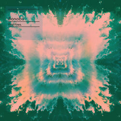 Cover of First Fires