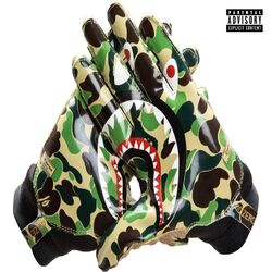 Cover of CAMOBAPE