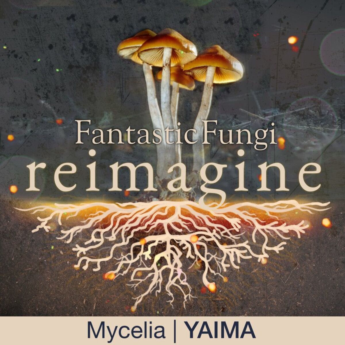 Album cover of Mycelia