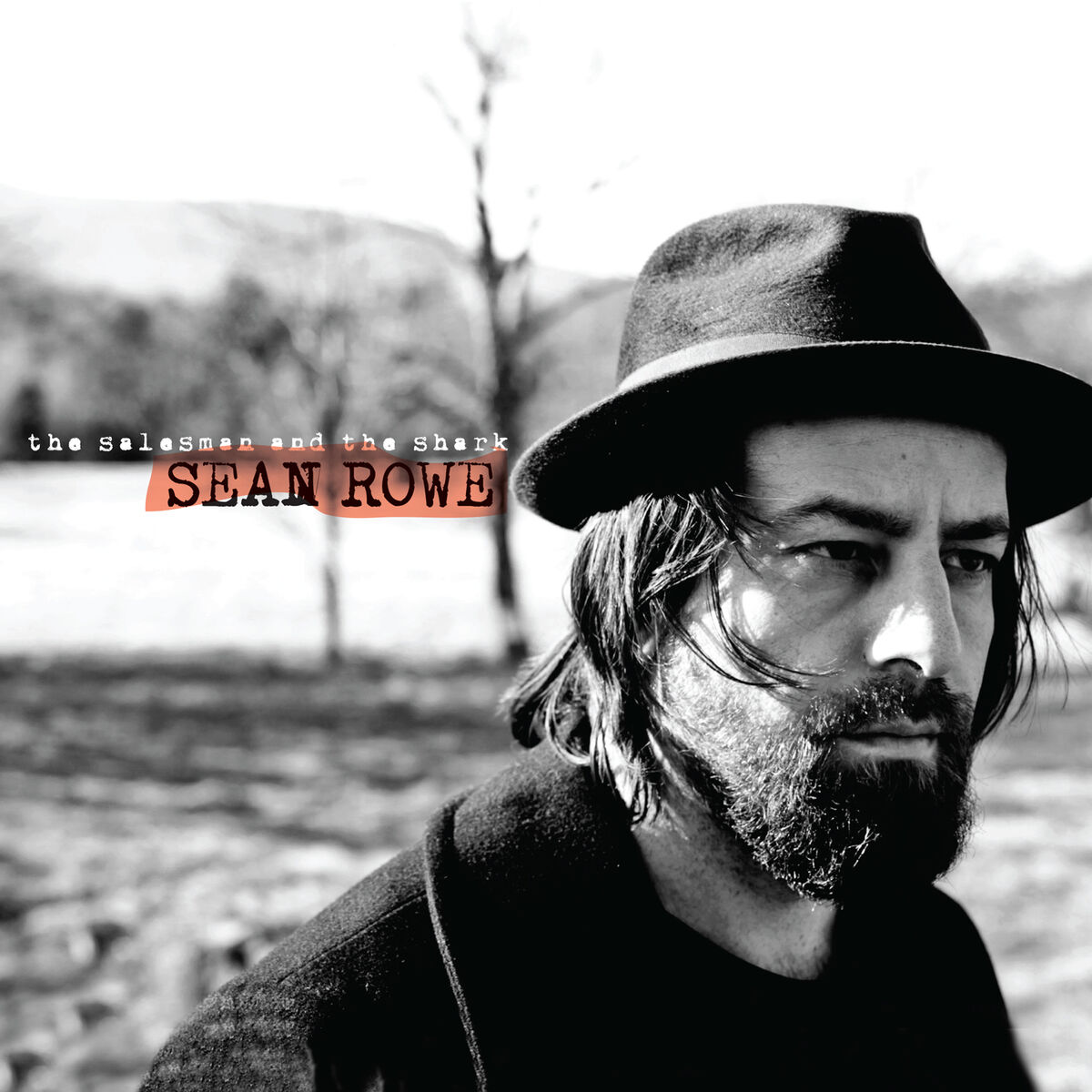 Album cover of The Salesman and the Shark