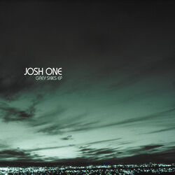 Cover of Grey Skies