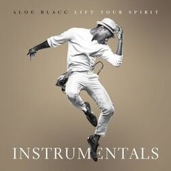 Cover of Lift Your Spirit (The Instrumentals)