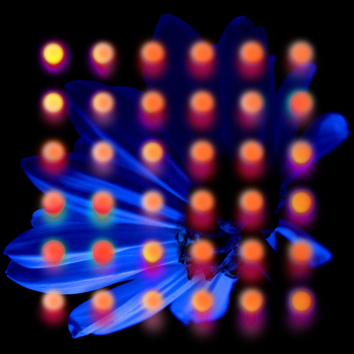 Album cover of Paperthin Hymn