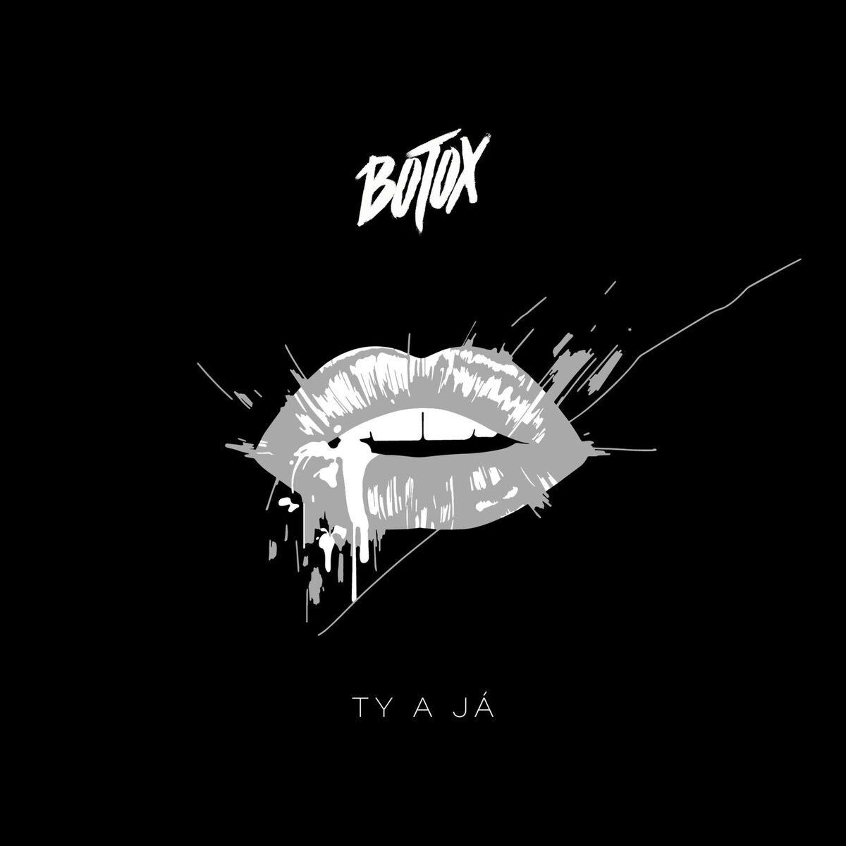 Album cover of Ty a Já