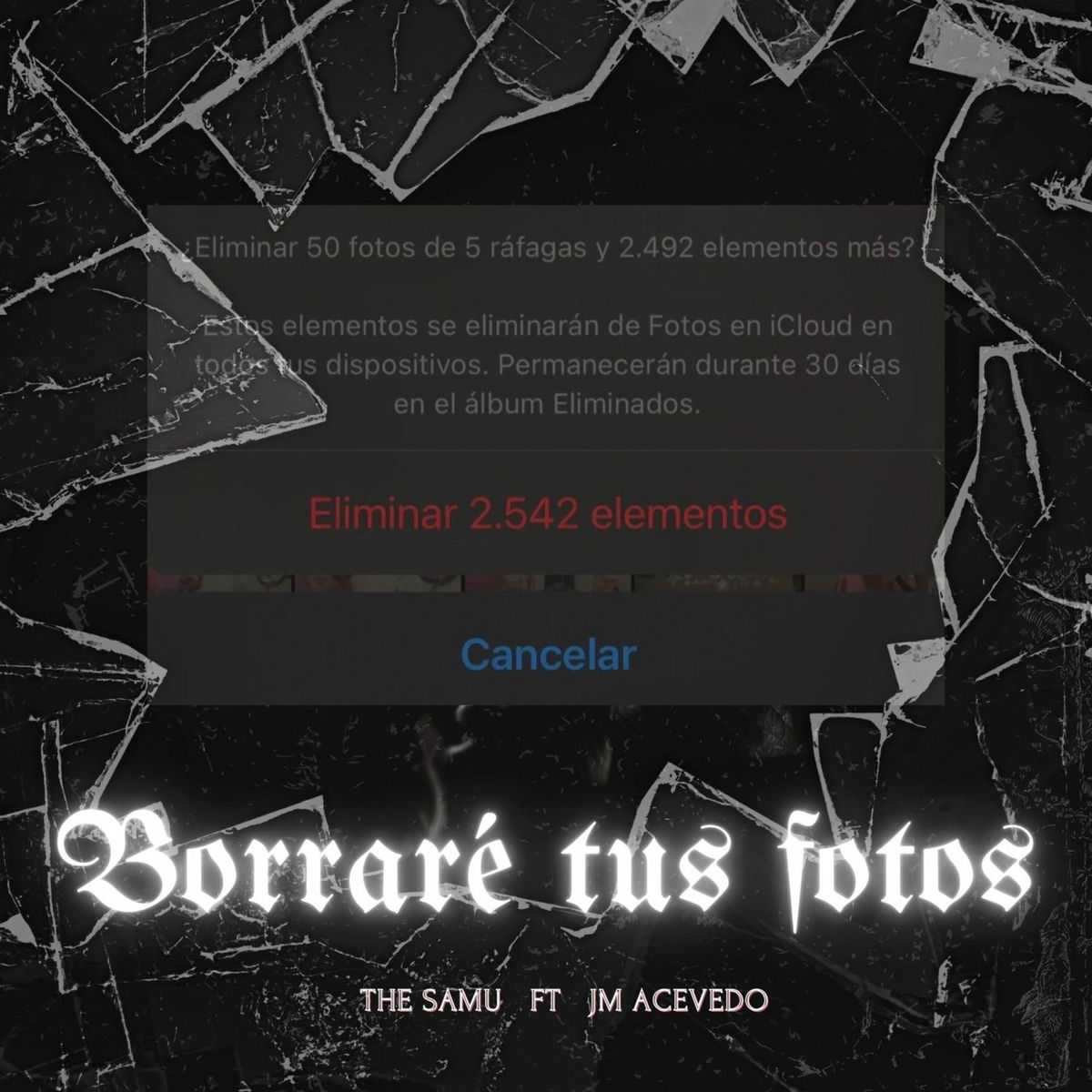 Album cover of Borraré tus fotos