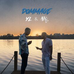 Cover of Dommage