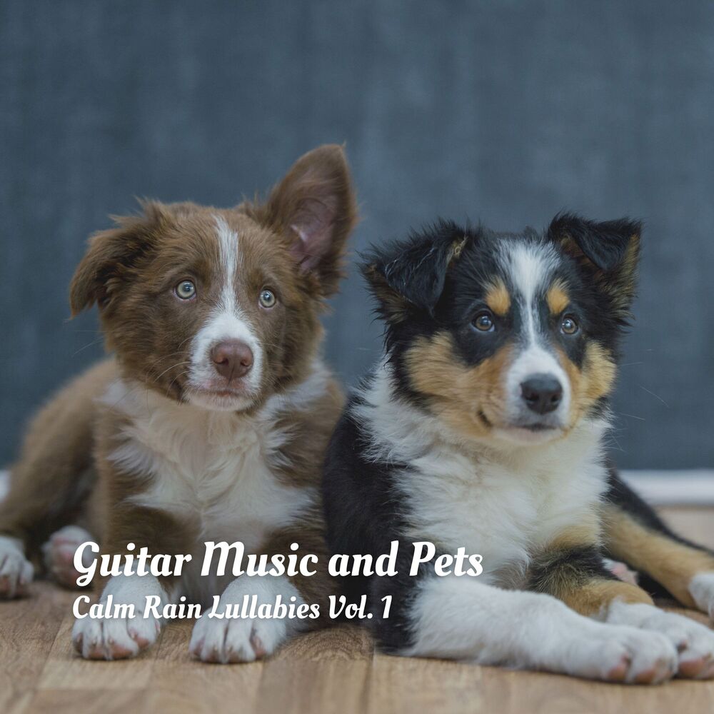 Picture of Guitar Music and Pets: Calm Rain Lullabies Vol. 1