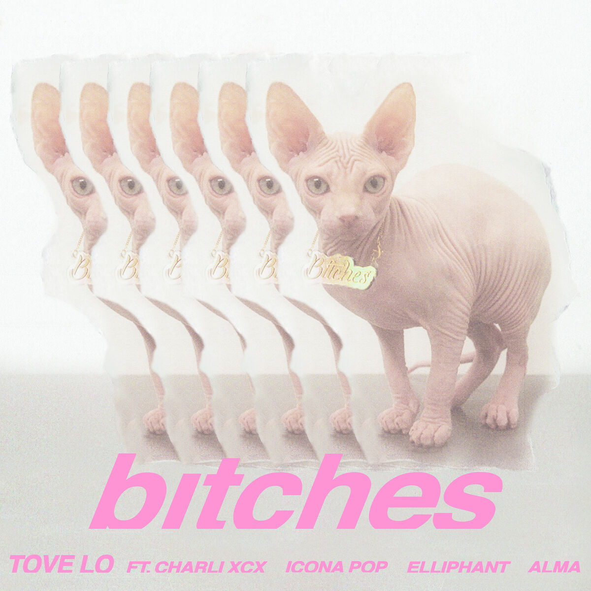 Album cover of bitches