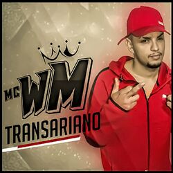 Cover of Transariano