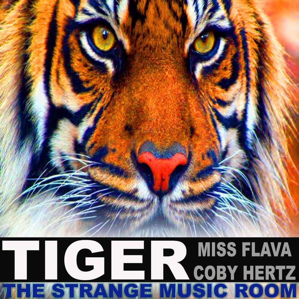 Picture of Tiger