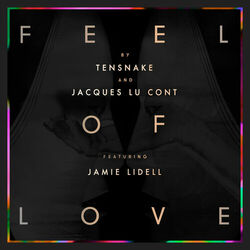Cover of Feel Of Love
