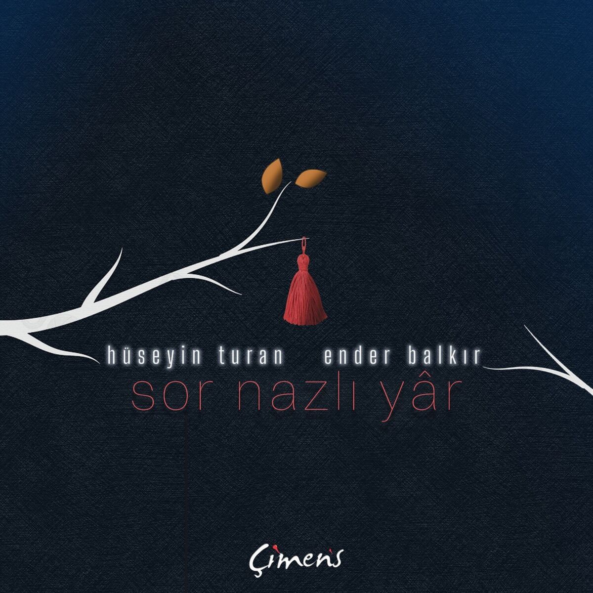 Album cover of Sor Nazlı Yar