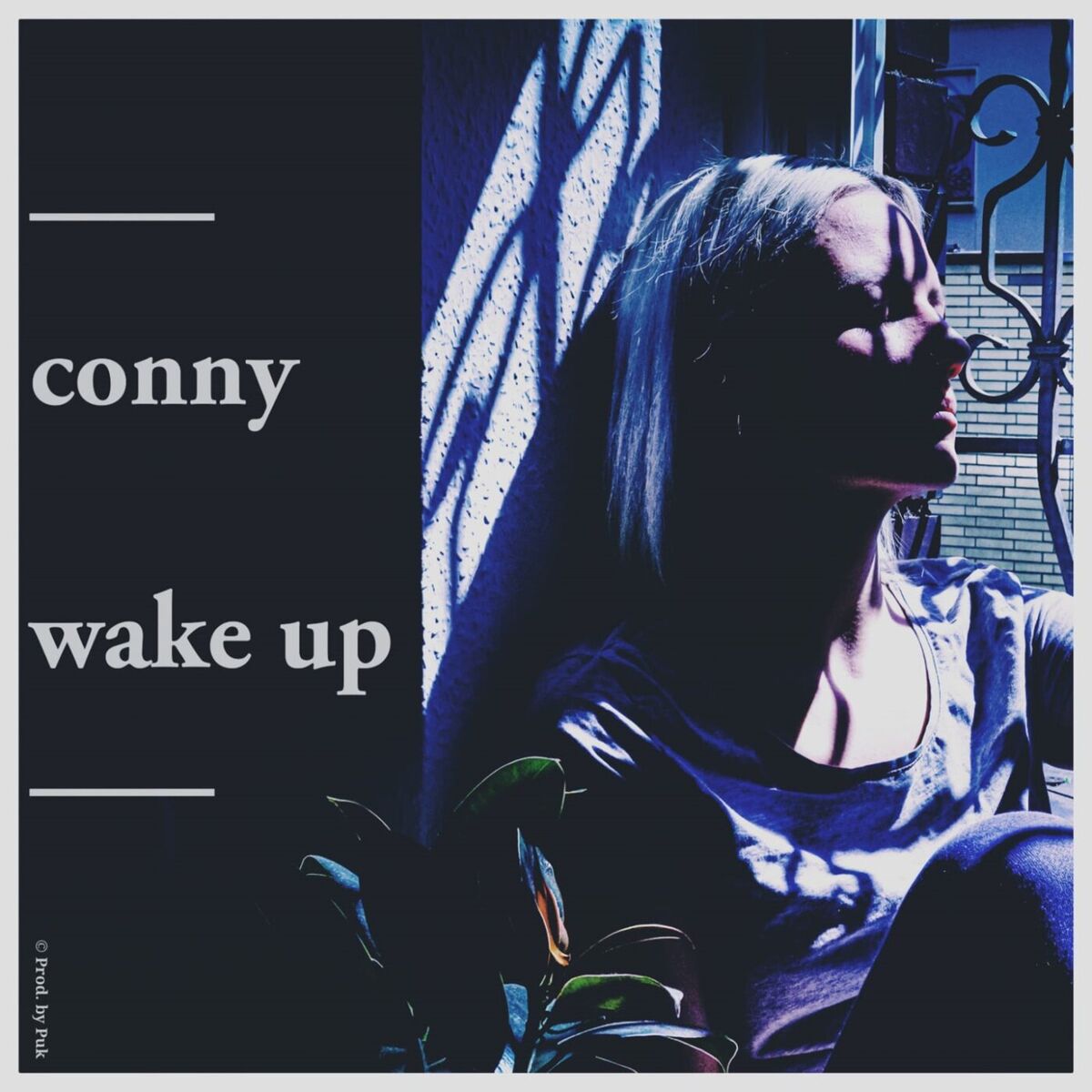 Album cover of Wake Up