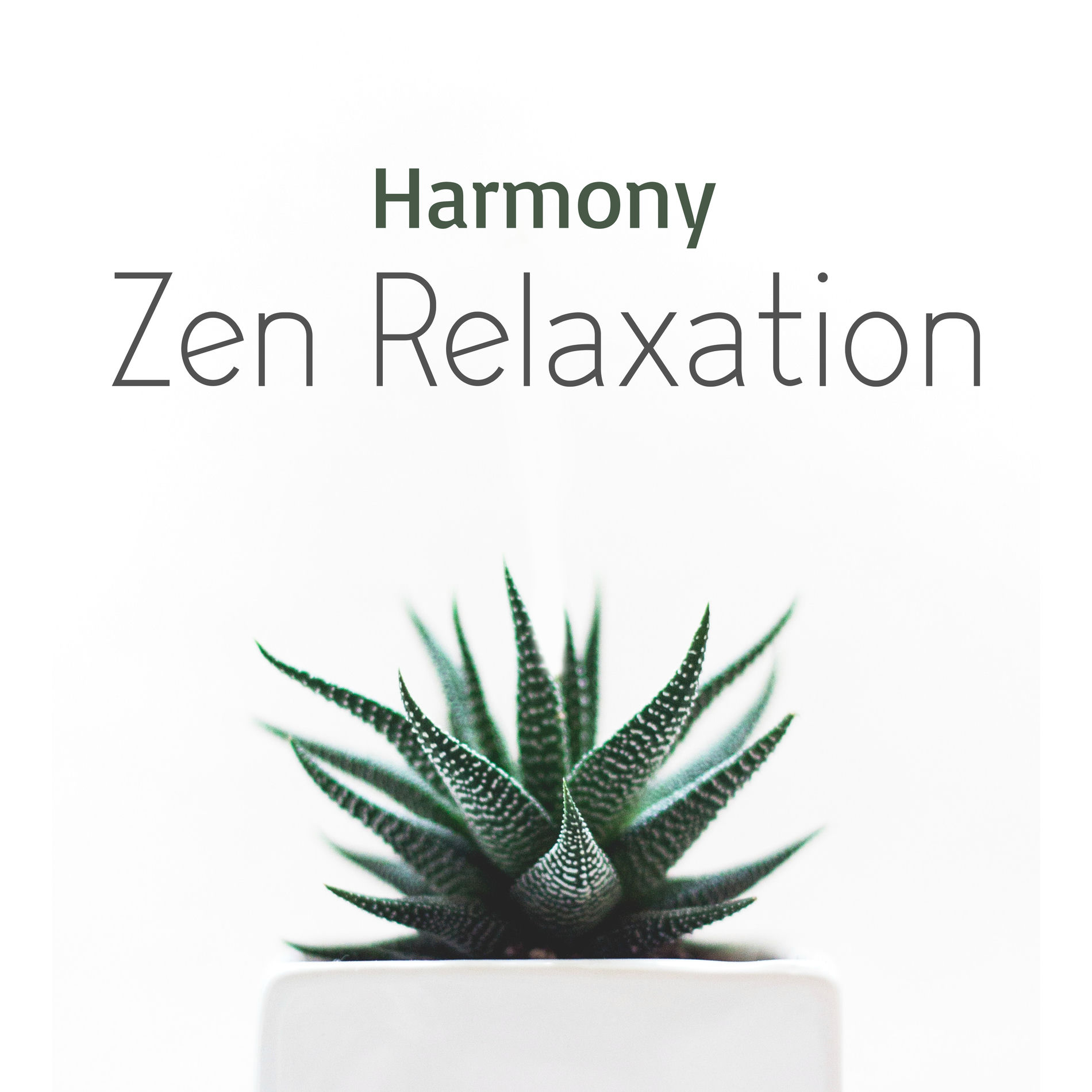 Album cover of Harmony Zen Relaxation