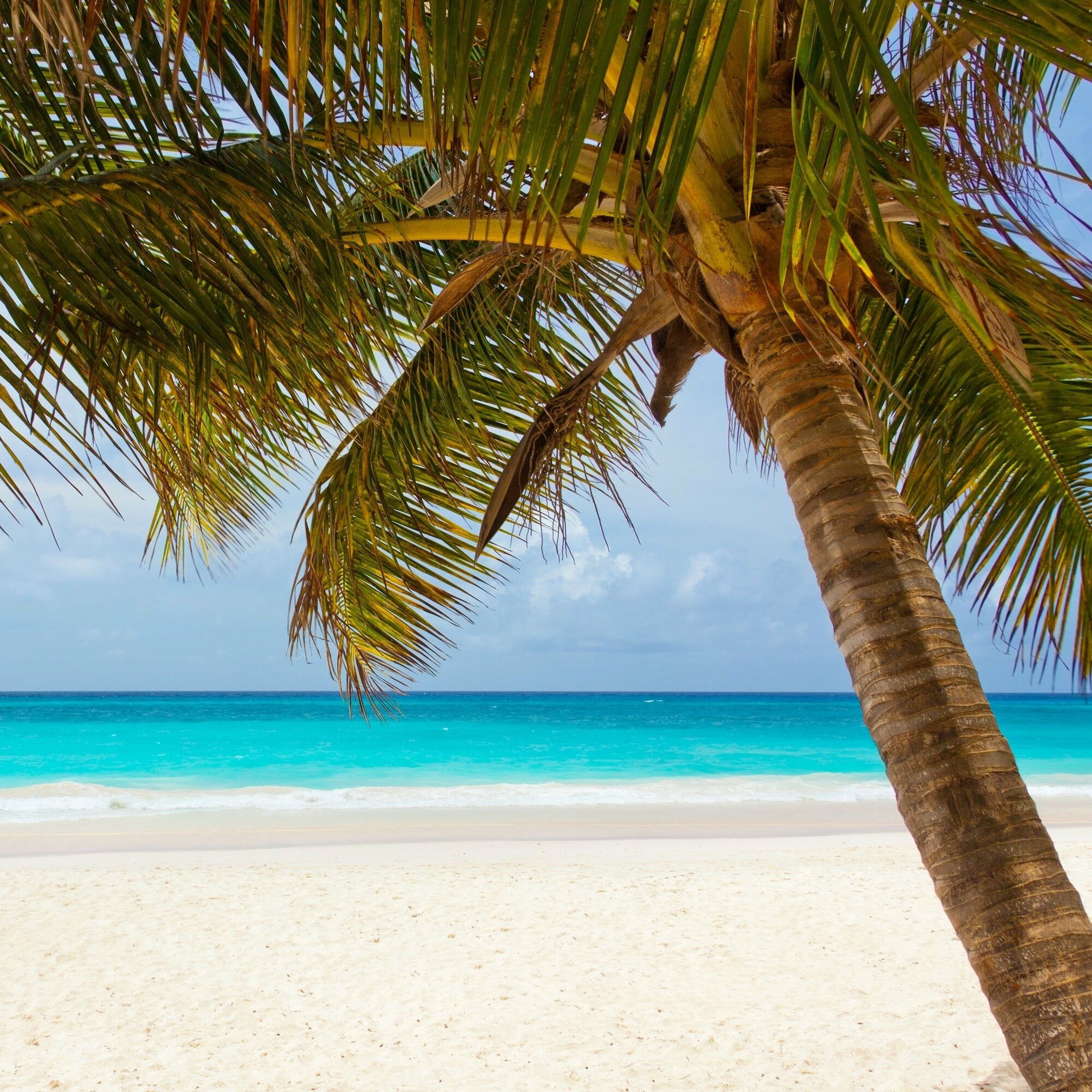 Album cover of Eternal Peace