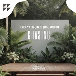 Cover of Chasing