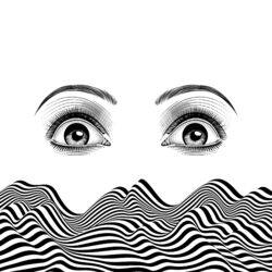 Cover of Thirteen