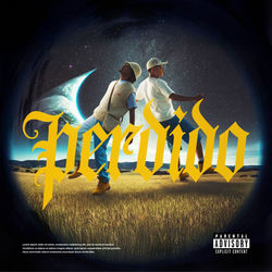 Cover of PERDIDO by undefined