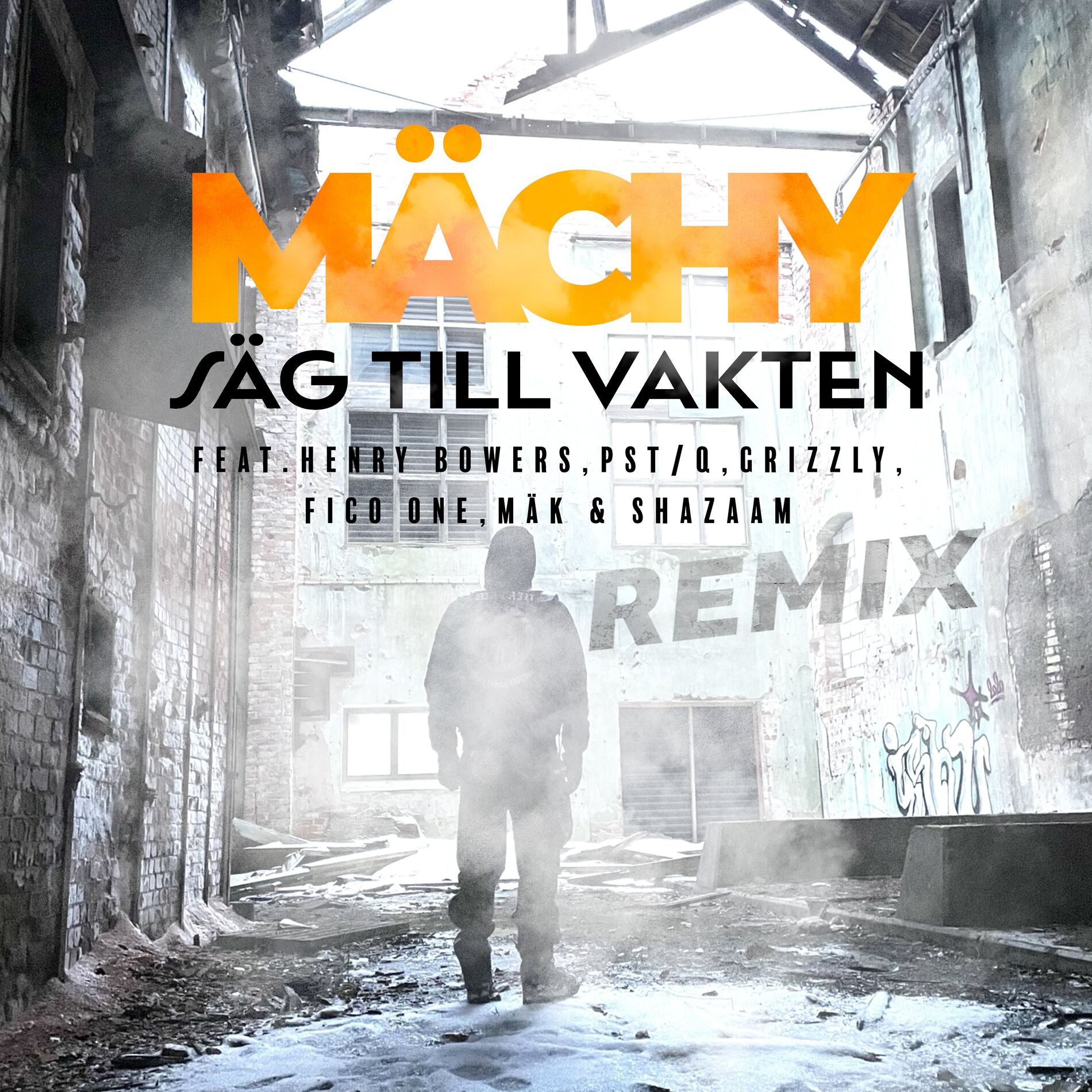 Album cover of Säg till vakten (Remix)