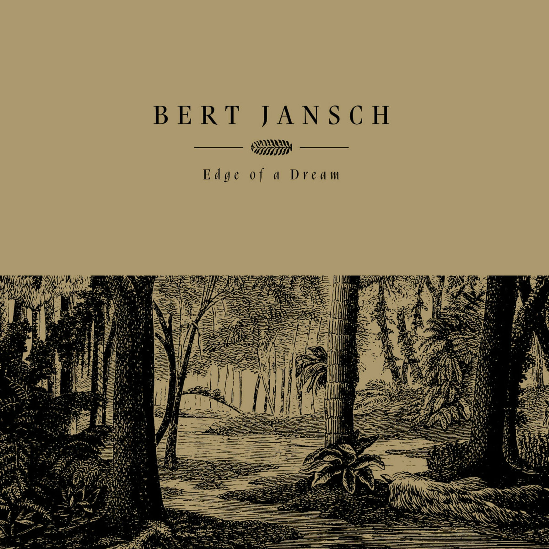Album cover of Edge of a Dream
