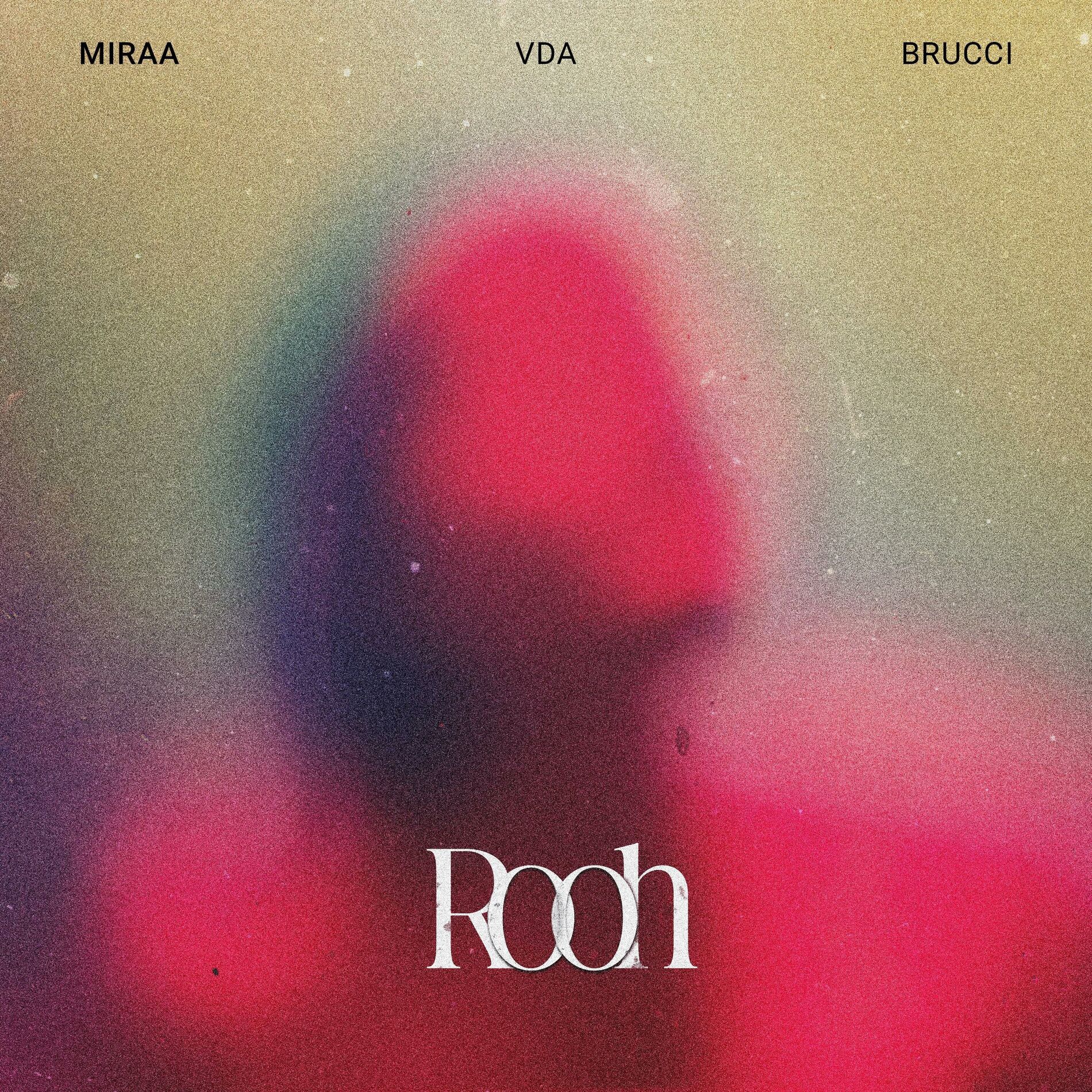 Album cover of ROOH (feat. Vda & Brucci)