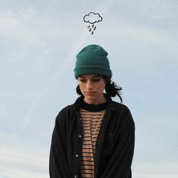 Cover of No Matter the Season
