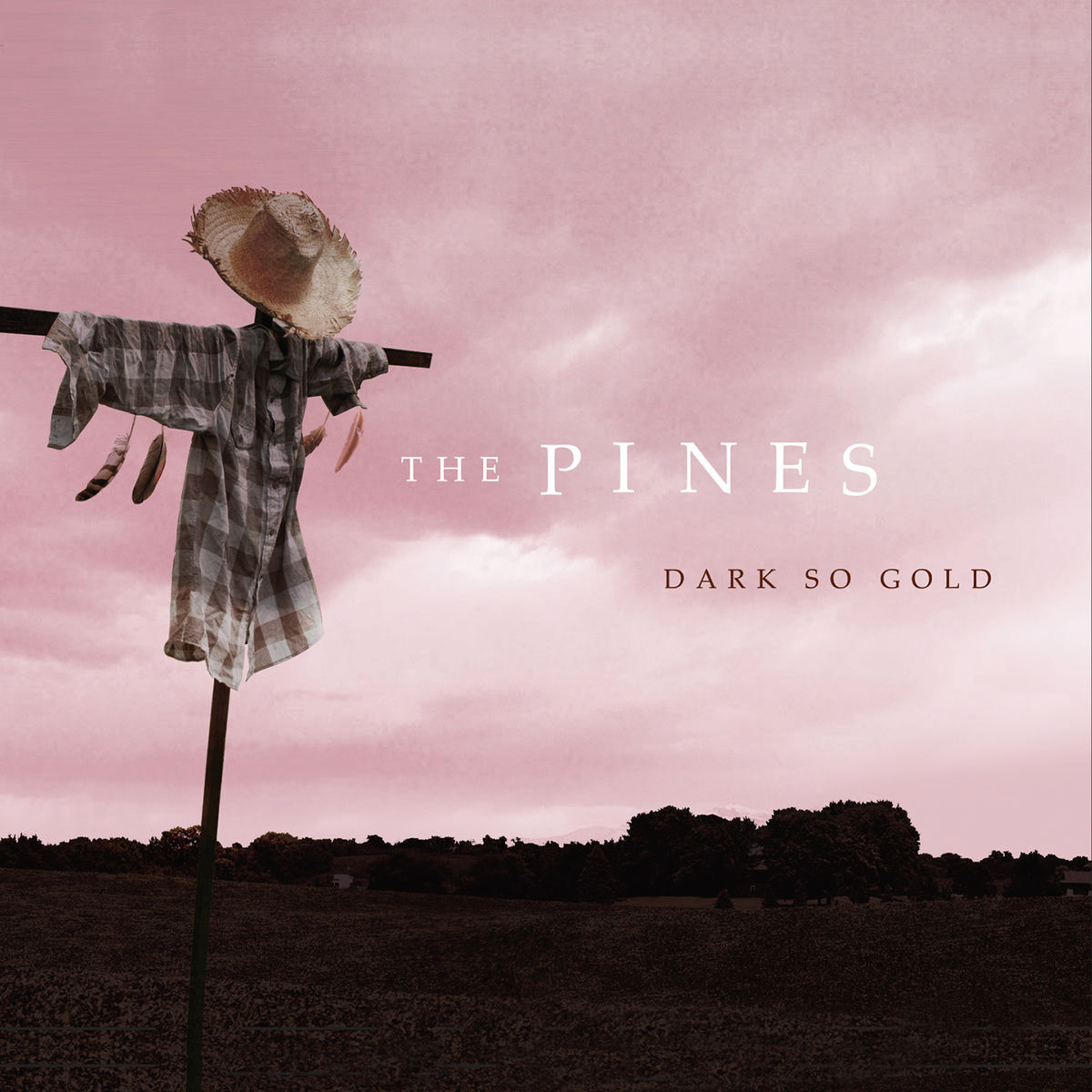 Album cover of Cry, Cry, Crow