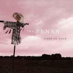 Cover of Dark So Gold