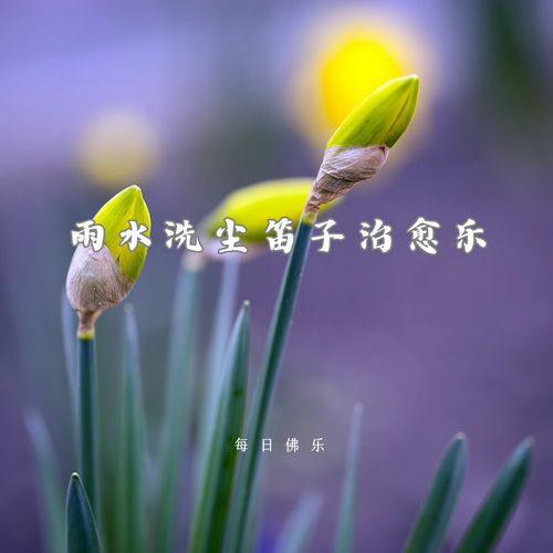 雨水洗尘笛子治愈乐