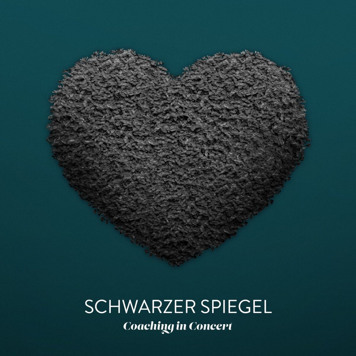 Album cover of Schwarzer Spiegel (Live)