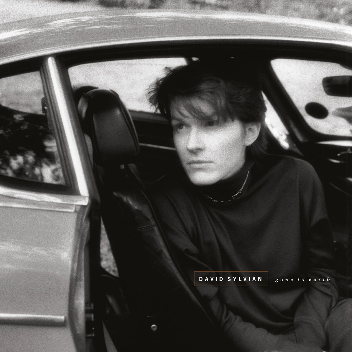 Album cover of Gone To Earth (Remastered 2003)