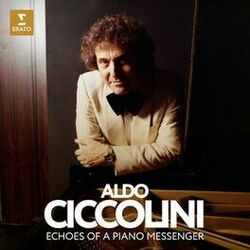 Cover of Echoes of a Piano Messenger