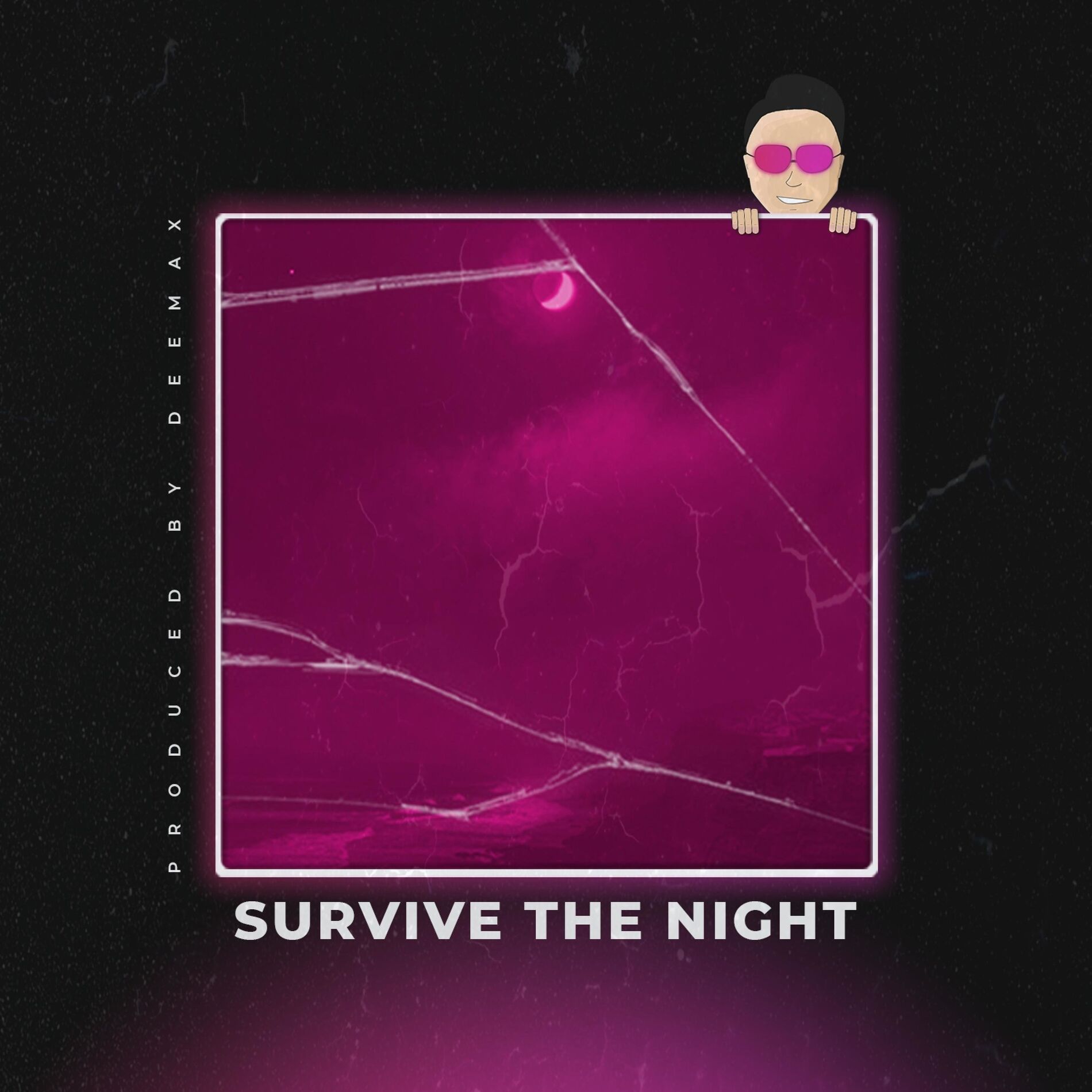 Album cover of Survive The Night