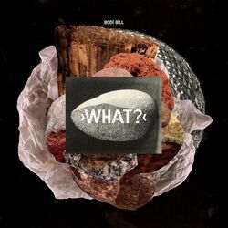 Cover of What? (Bonus Version)