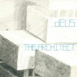Cover of The Architect