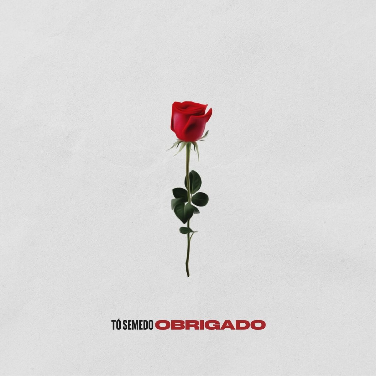 Album cover of Obrigado