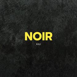 Cover of Noir