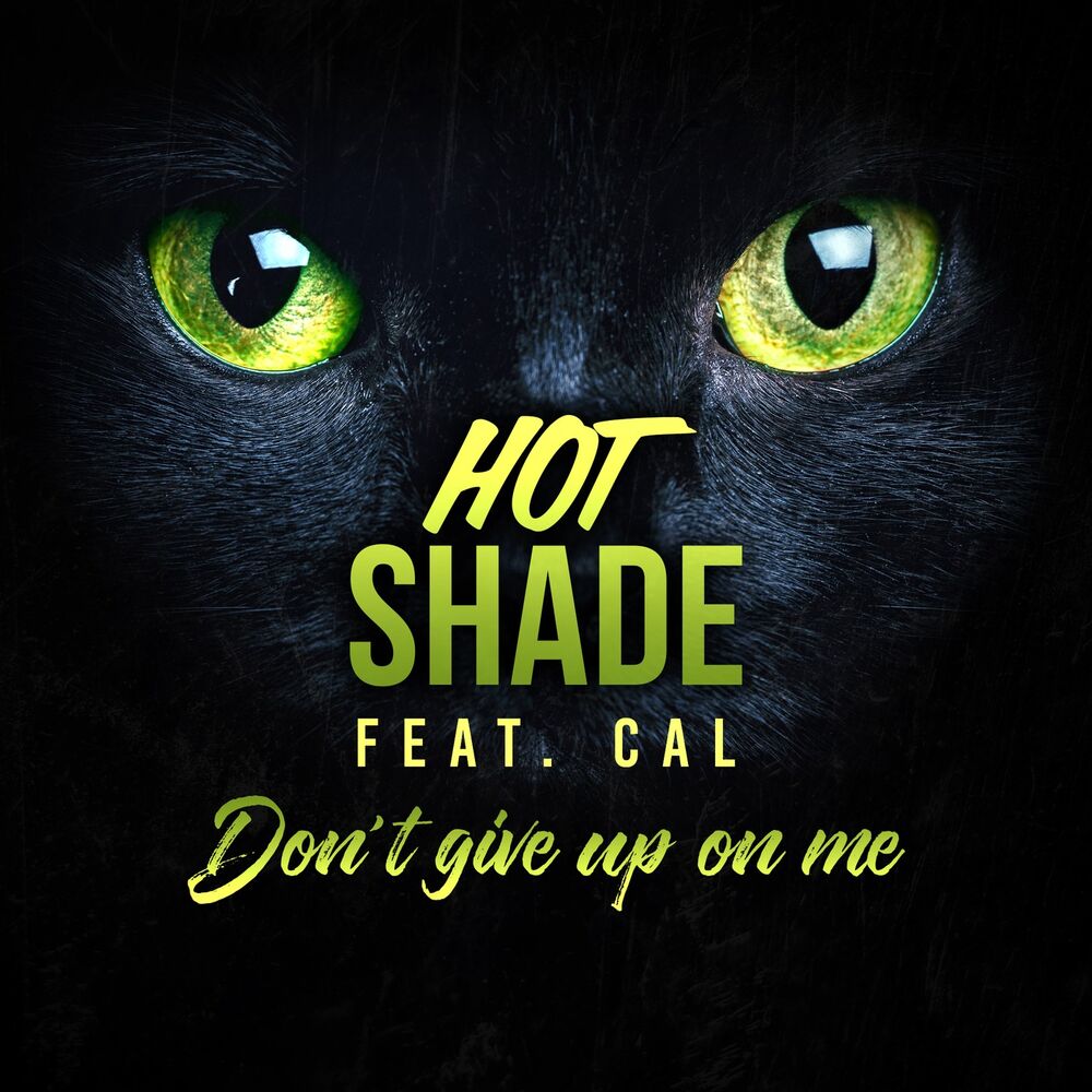 Picture of Don't Give up on Me (feat. Cal)