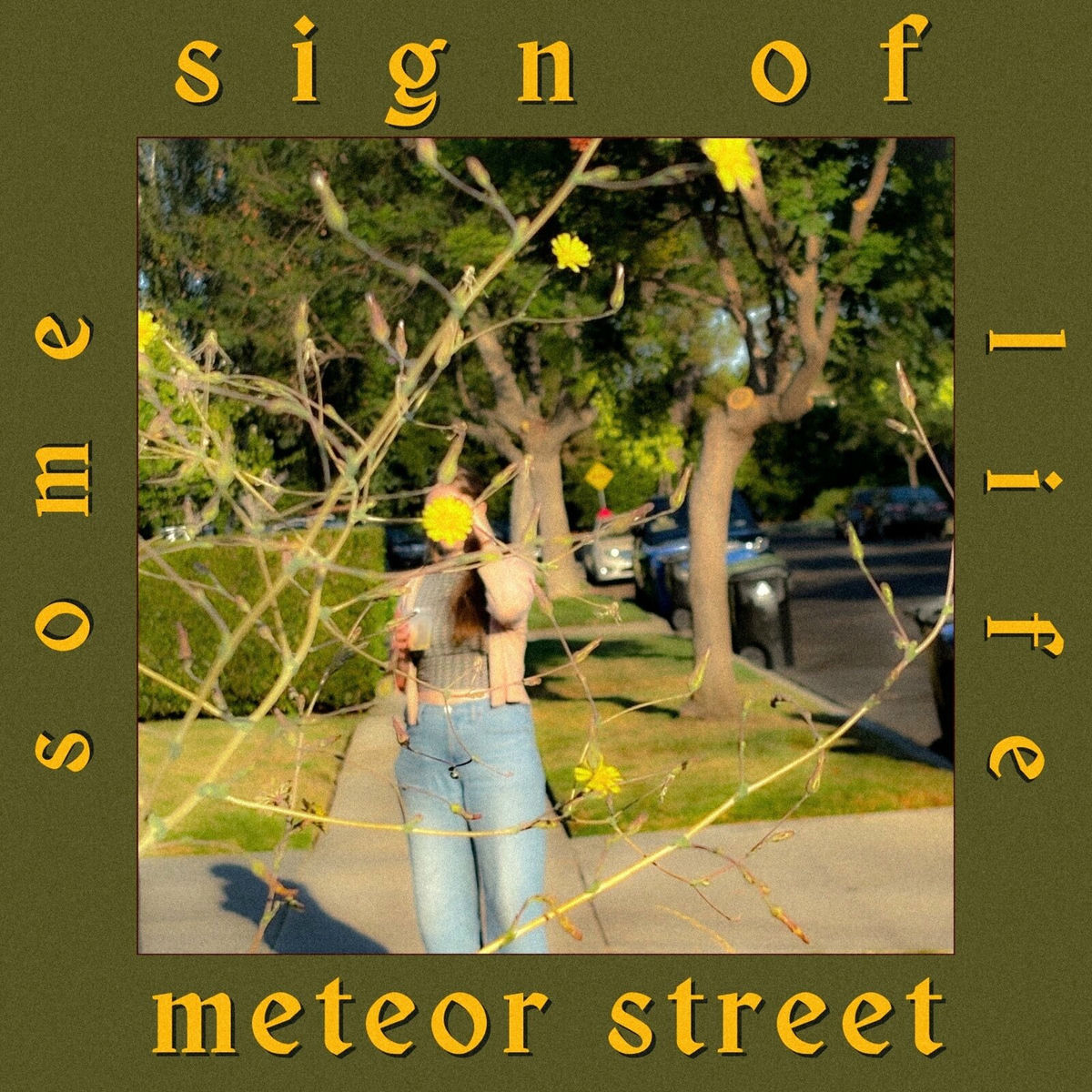 Album cover of Some Sign of Life