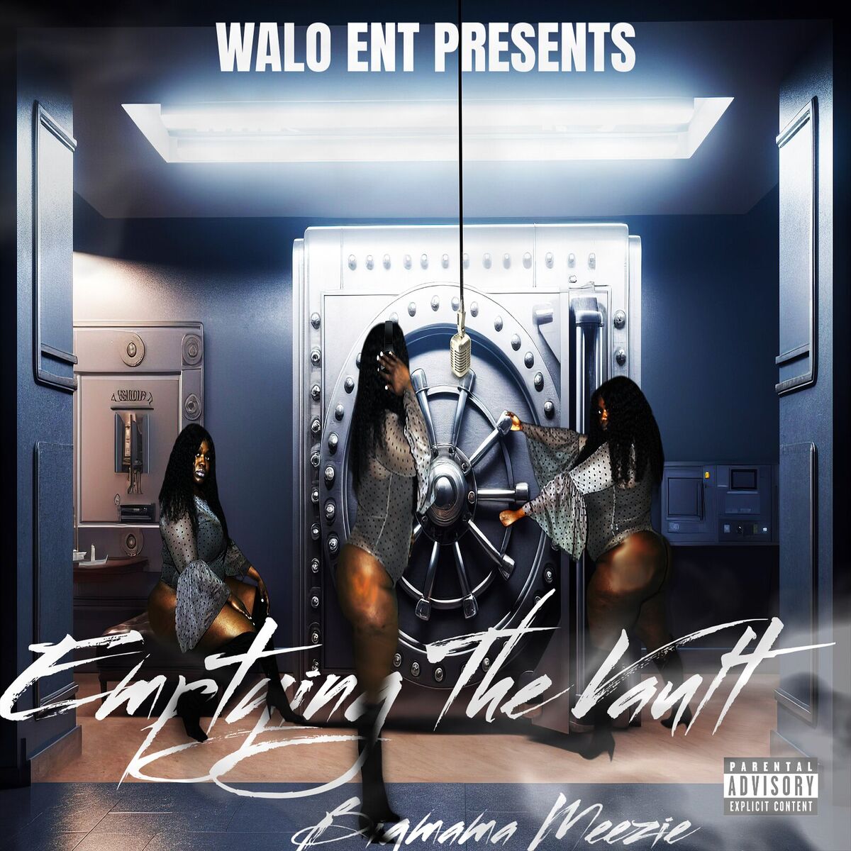 Album cover of Emptying the Vault