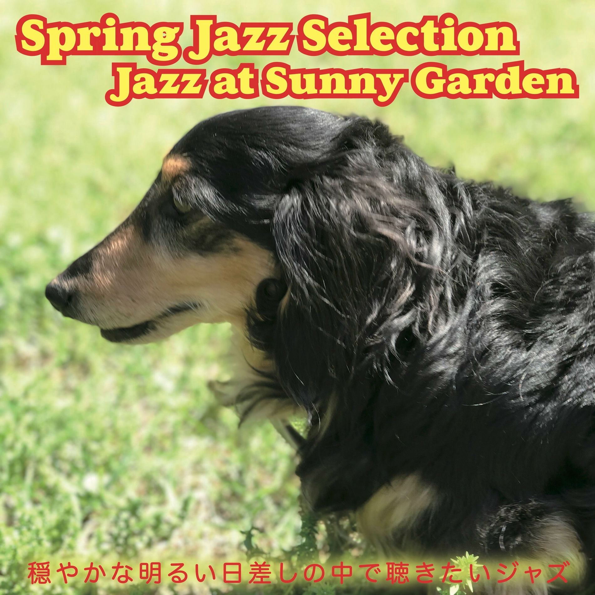 Album cover of On The Street Where You Live