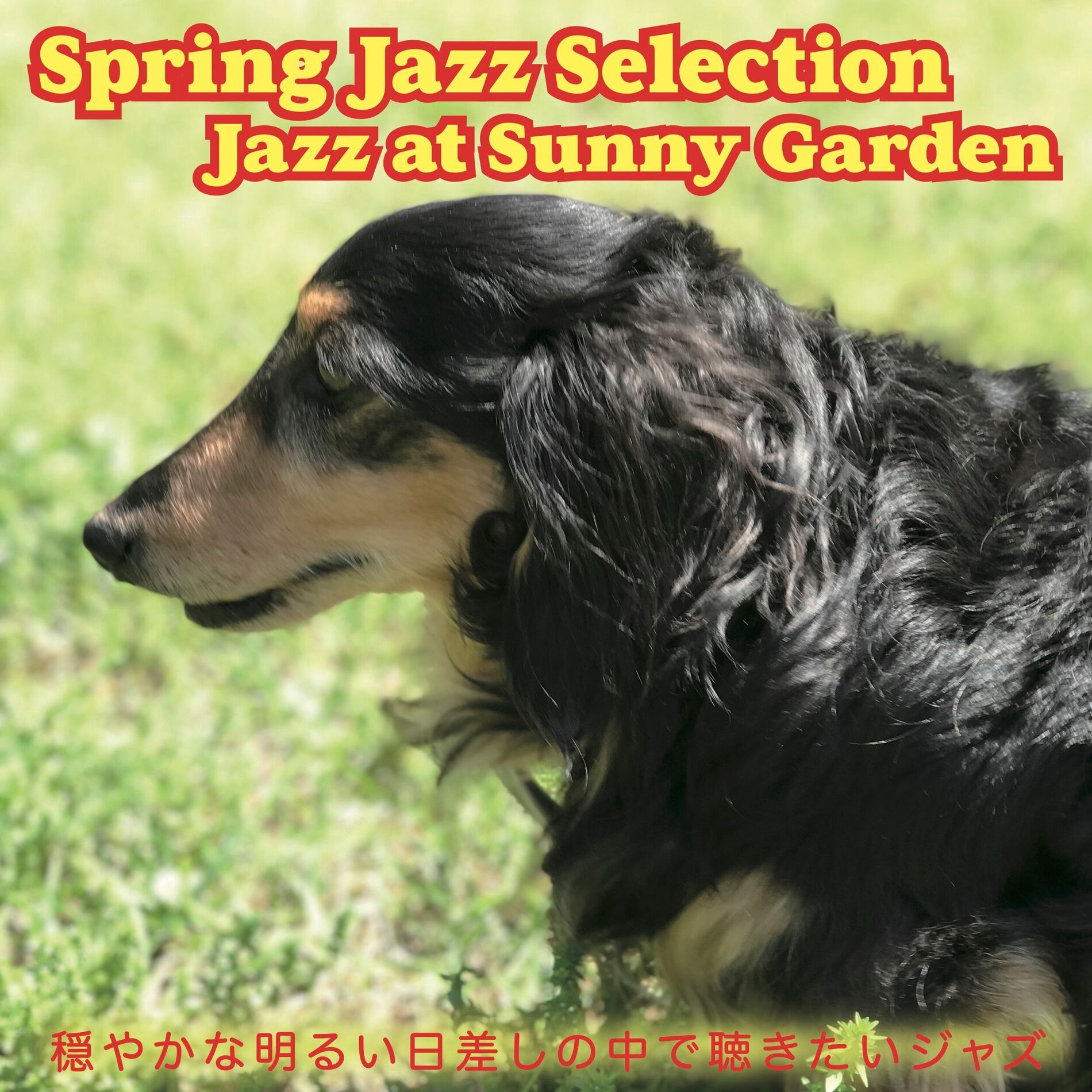 Album cover of Spring Jazz Selection Jazz at Sunny Garden