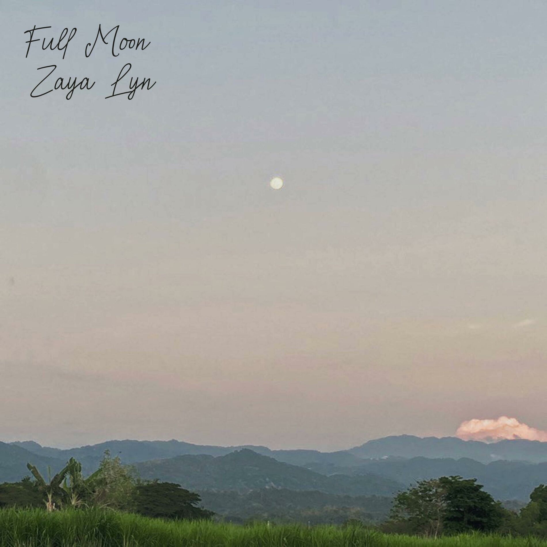 Album cover of Full Moon